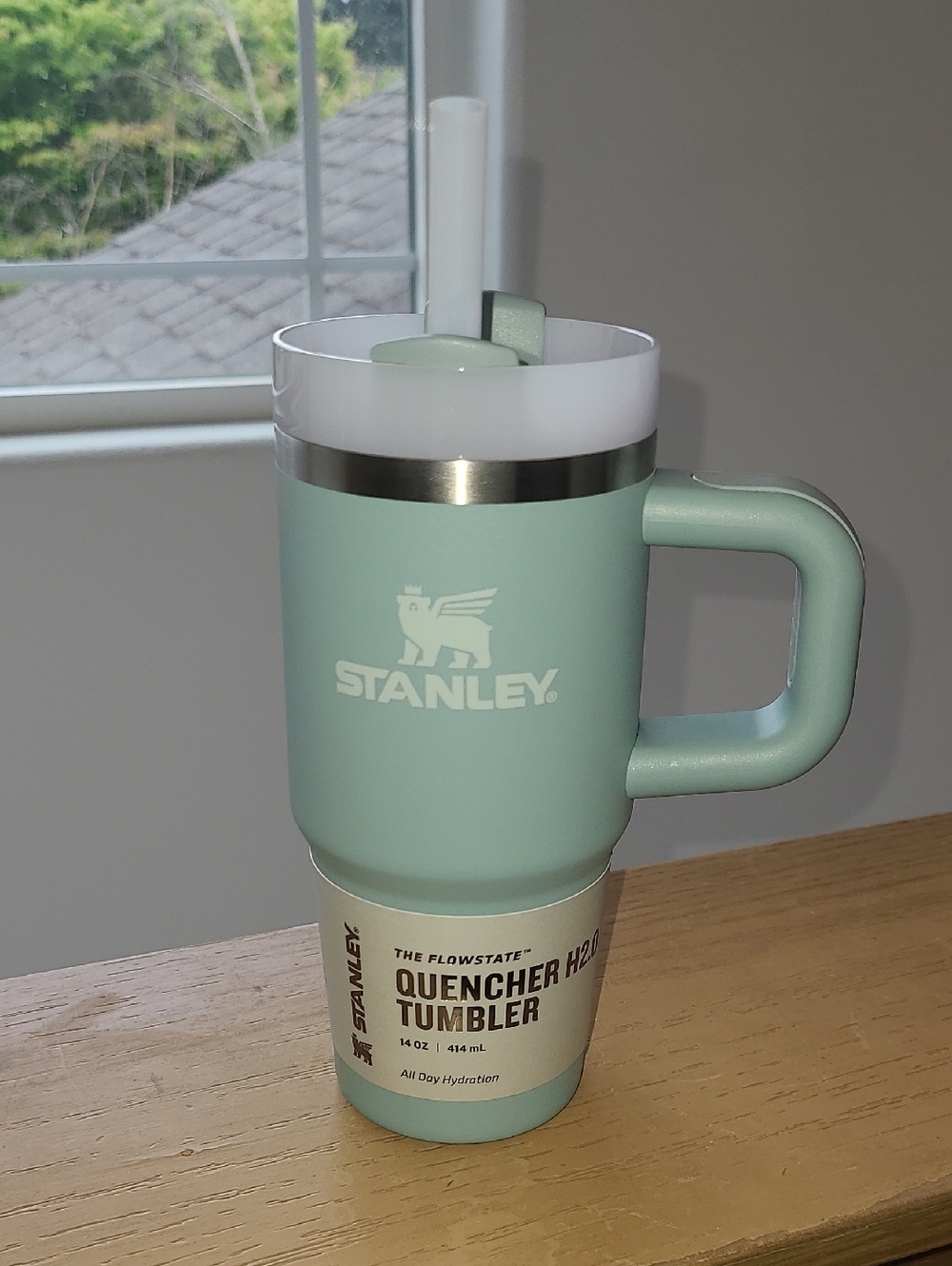 Stanley Quencher Travel Tumbler in Seafoam